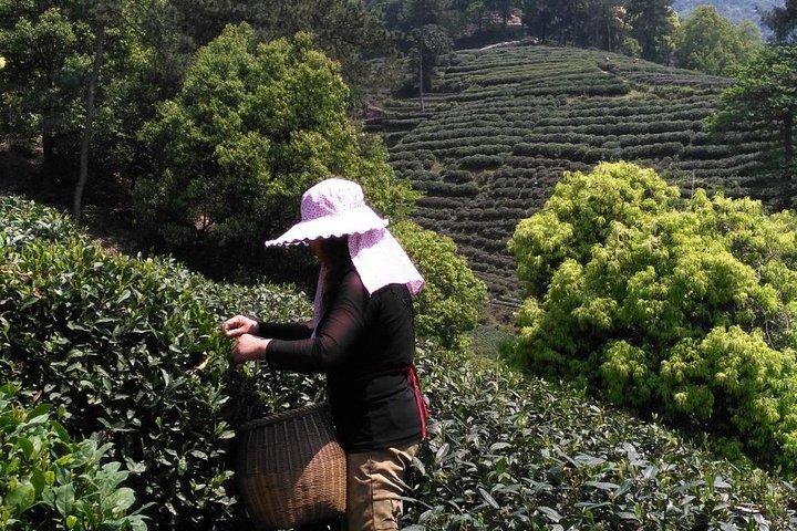 Hangzhou Private Day Trip von Suzhou mit dem Hochgeschwindigkeitszug mit Drop-off-Optionen