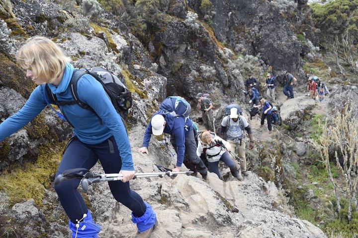 Machame Route 6 dage 5 nætter / Kilimanjaro Climb