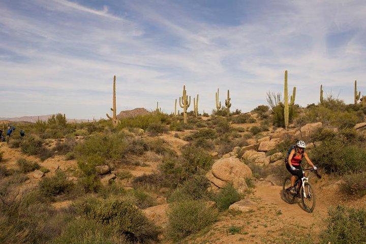 Sonoran Desert Guided Mountain Bike Tour