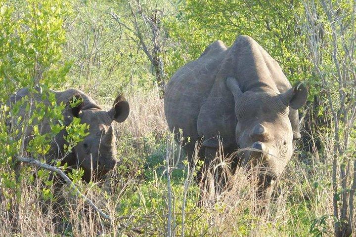 ビクトリア滝発ワンゲサファリ日帰り旅行