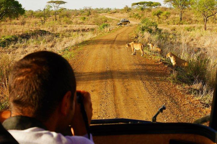 4 dagar Tanzania Camping Safari