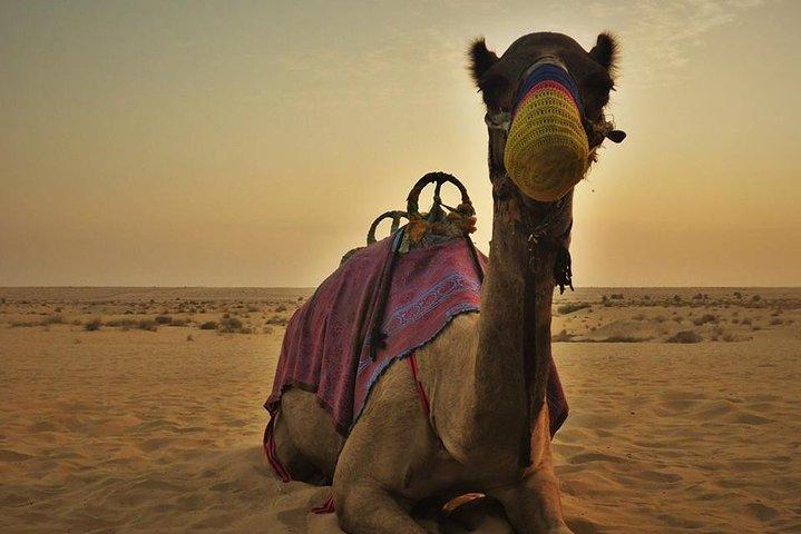 Safari Red Dunes a Dubai