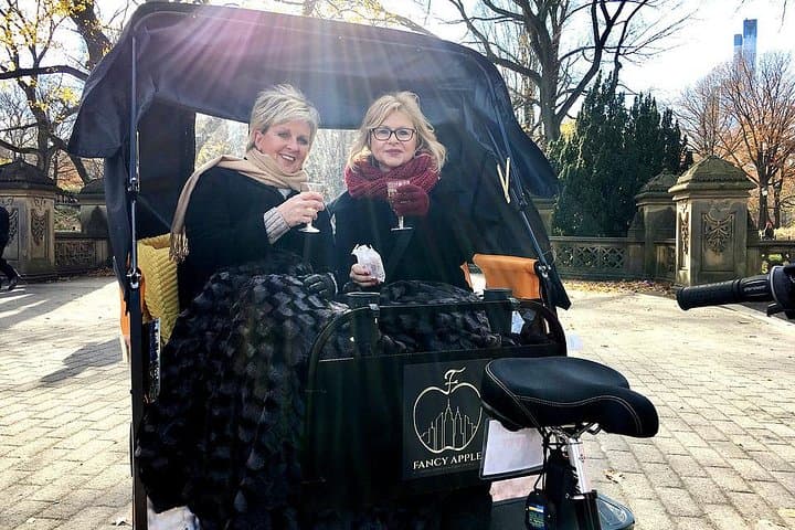Private Central Park Guided Tour by Pedicab