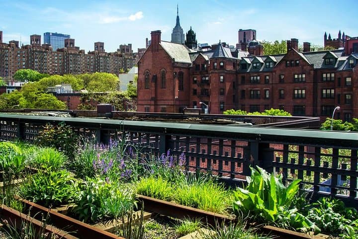 Highline and Chelsea Markets Tour