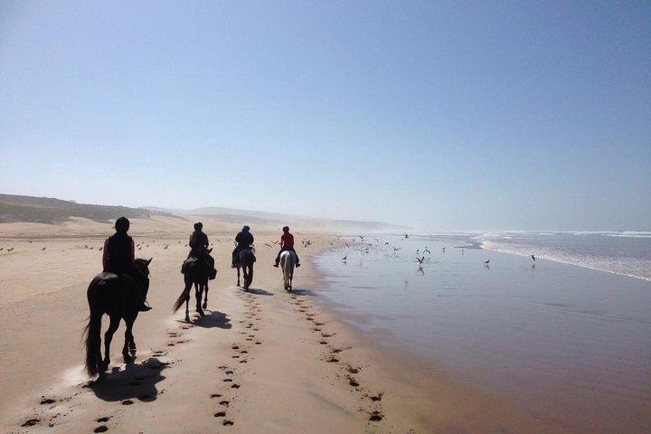 2 timmars hästridning strand och sanddyner i Essaouira Marocko