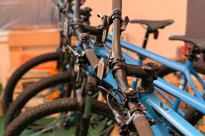 Noleggia una Mountain Bike a Bled