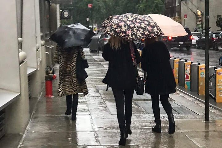 Private New York City Vintage + Secondhand Shopping Day