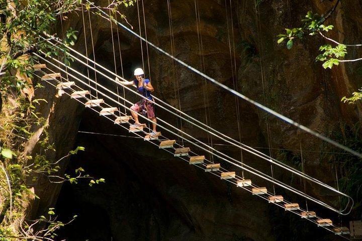 キャニオン キャノピー ツアー: ジップ ライン、懸垂下降、ロック クライミング、ターザン スイング、吊り橋