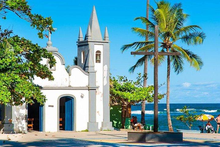 Privat överföring: Salvador Flygplats till Praia do Forte (Enkel resa)