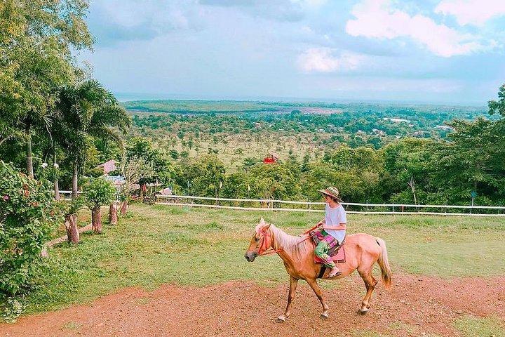 Palawan: Puerto Princesa City Tour