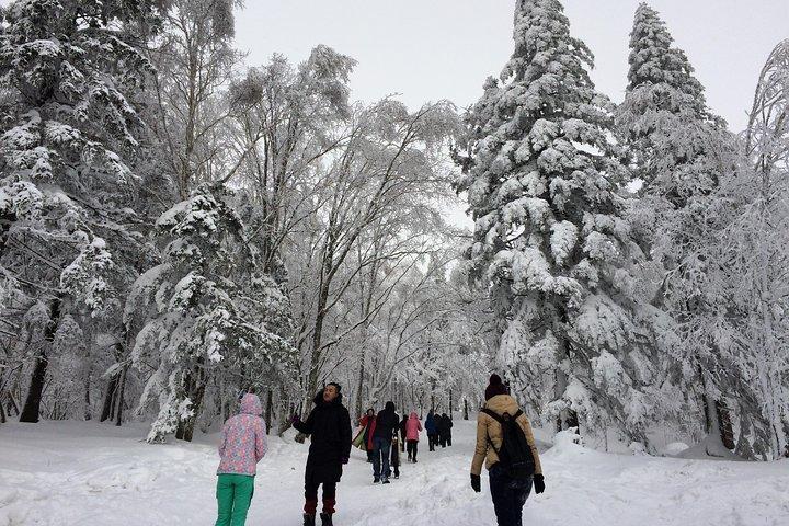 スノーバレーとスノートレッキングで雪村を巡る3日間ツアー