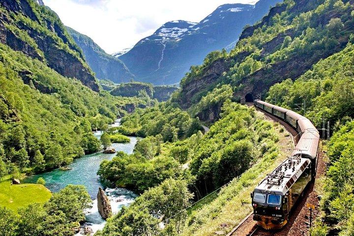 フロム鉄道を含むオスロからソグネフィヨルドへのプライベート全日往復