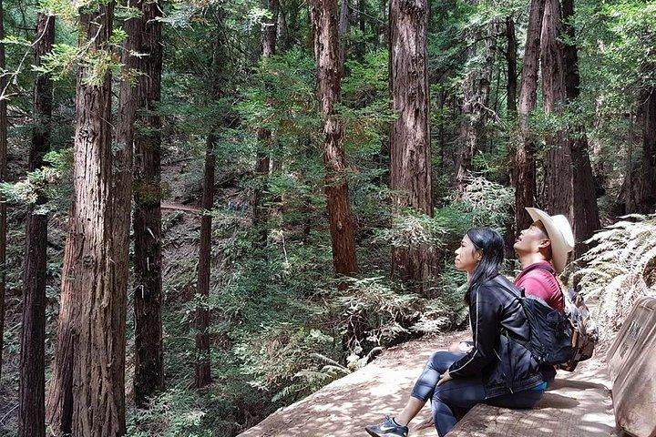 San Francisco: Guidet Muir Woods-tur og hop-på-hop-af-bustur