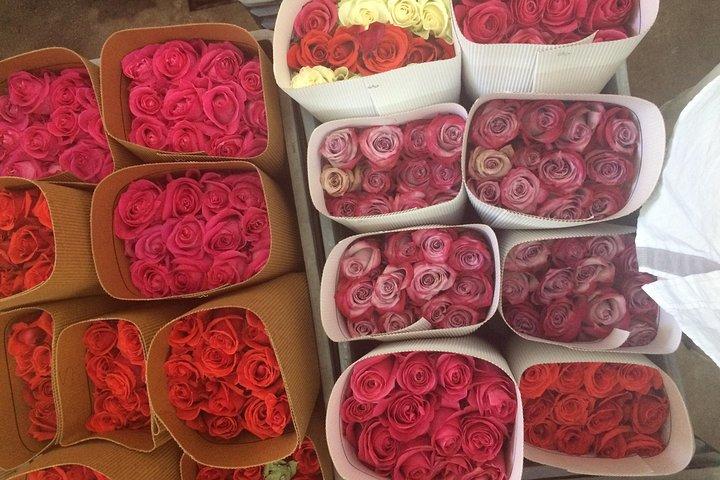 Roses & Horseback Riding (PRIVATE Day Trip from Quito)
