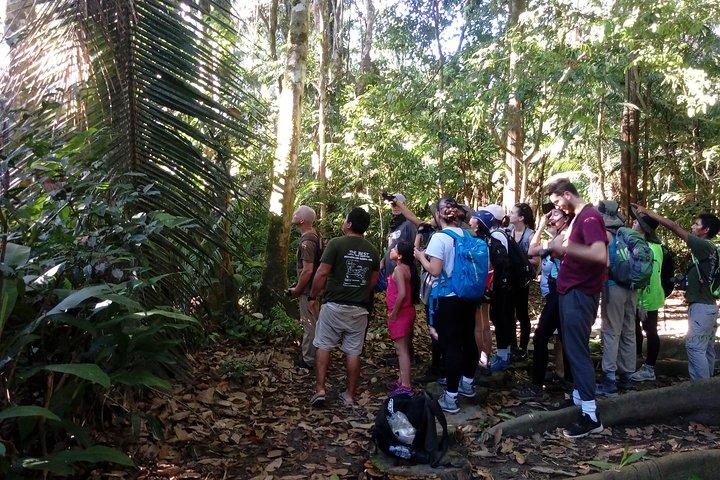 Tambopata National Reserve Tour 4 Tage ab Cusco