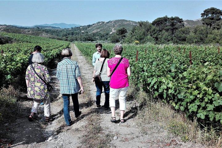 Butterflies Valley & Wine Tasting Erleben Sie Private Tour