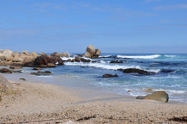 Santiago: Private Ganztagestour Pomaire & Isla Negra, inkl. Eingang