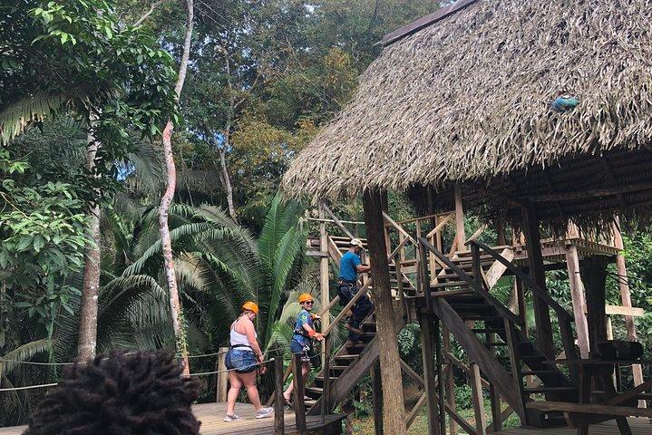 Jungle Zip Line, Belize tegn & Rum fabrik fra Belize City