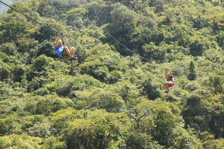 Rio Park Zipline Tour e Mule Ride