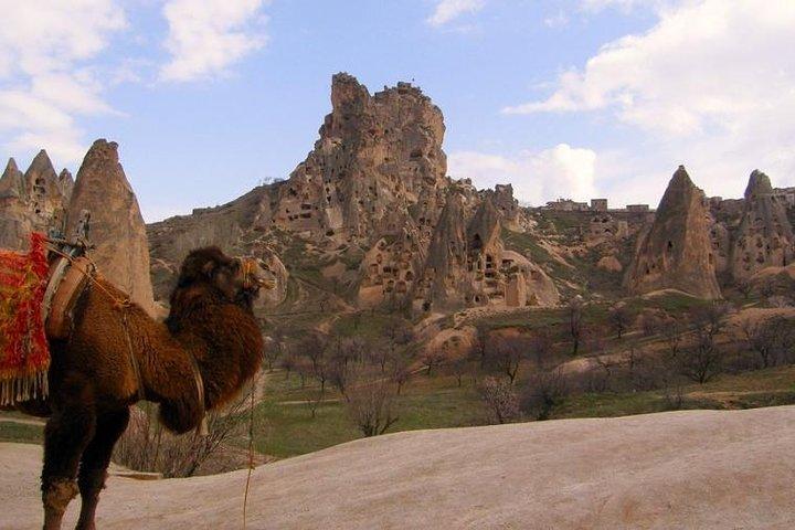 Cappadocia Camel Safari