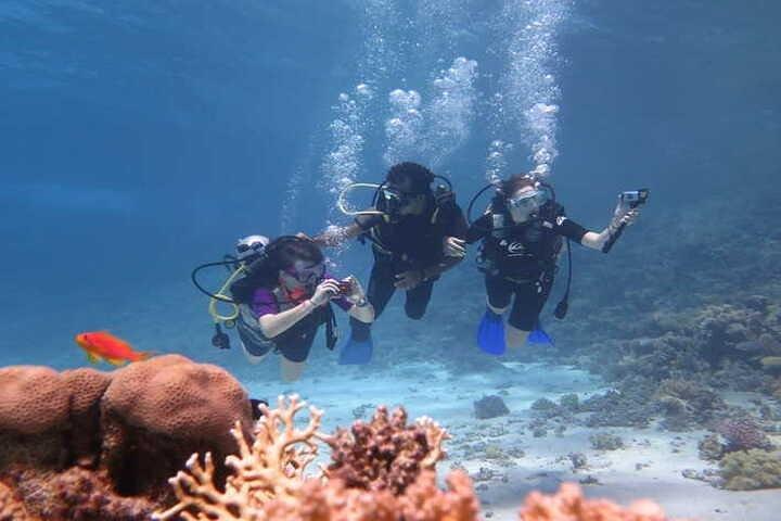 Diving Tour a Hurghada