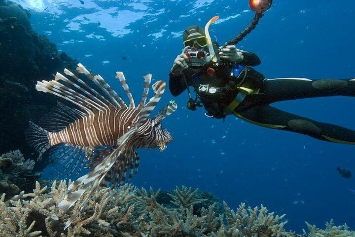 Diving Tour a Hurghada