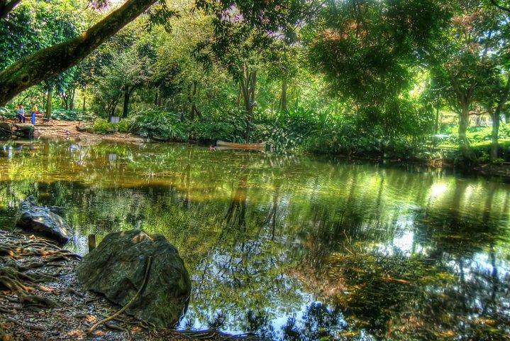 Botanischer Garten und Medellin City Walking Tour