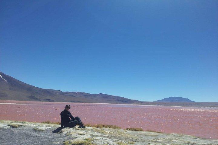 Viagem Privada a Laguna Colorada de Uyuni com Guia de Bilingüal