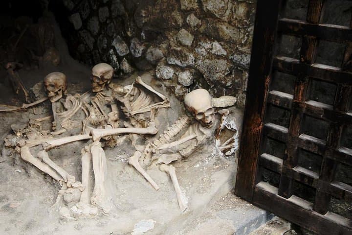 Private 6h Tour to Pompei and Ercolano with Port or Hotel pick-up