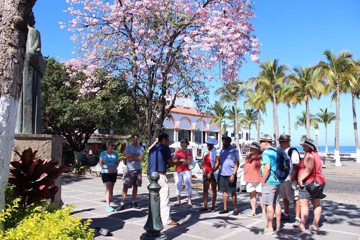 Tour della città di Puerto Vallarta per l'intera giornata
