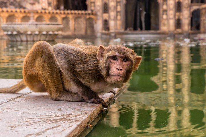 2 Days Jaipur City Tour from Agra