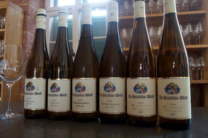 Visite de dégustation de vins de la vallée du Rhin au départ de Francfort et de Mayence
