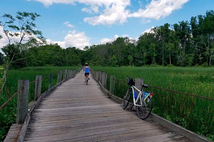 Visita al Monte Vernon en Bici : Paseo Autoguiado con Crucero Opcional Regreso