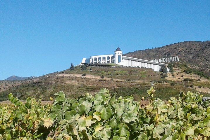 Visite privée de dégustation de vins dans les vignobles de la vallée de Casablanca