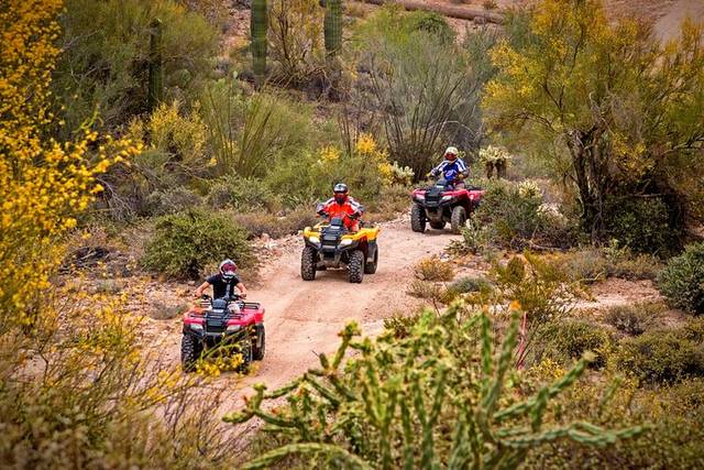 Desert ATV