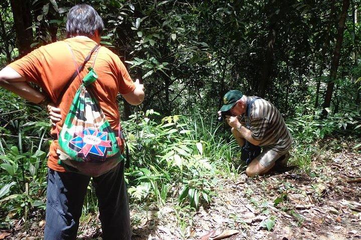 Fra Galle: Guided Nature Trail til Kanneliya Forest