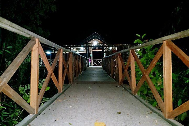 Excursão Descoberta dos Vaga-lumes de Bintan