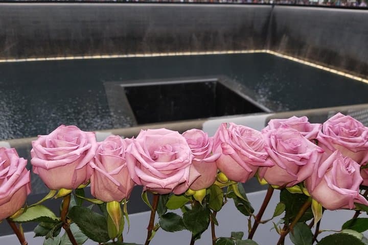 9/11 Memorial at World Trade Center and Financial District Walking Tour