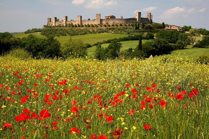 Excursion privée : Randonnée guidée en Toscane avec transport depuis Sienne