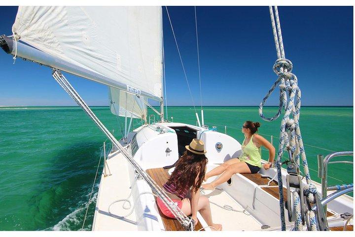 Ria Formosa Excursão de meio dia