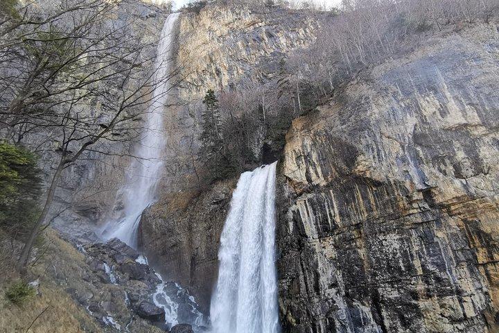 チューリッヒから:息をのむような滝と湖のプライベートツアー