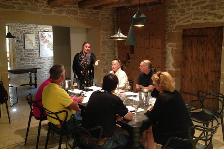 Southern Burgundy Wine Tour - Full Day Shared tour from Lyon