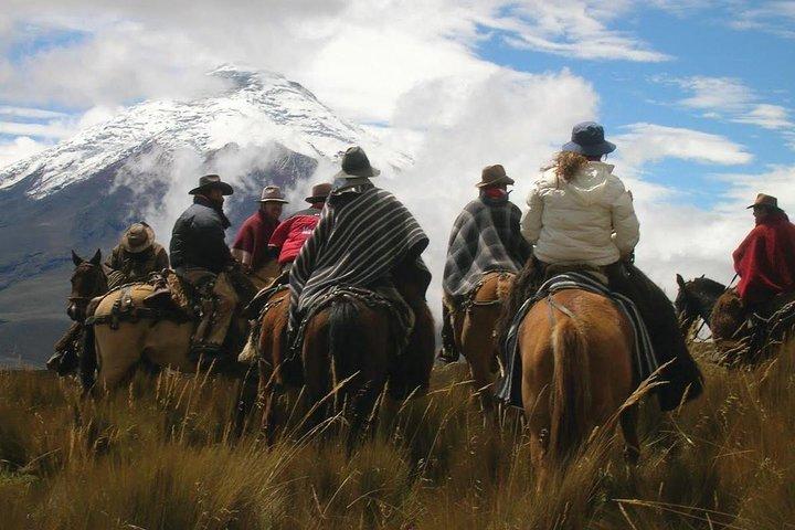 3-dagars äventyr: Quito, Cotopaxi, Quilotoa, Baños, Jungle, Quito