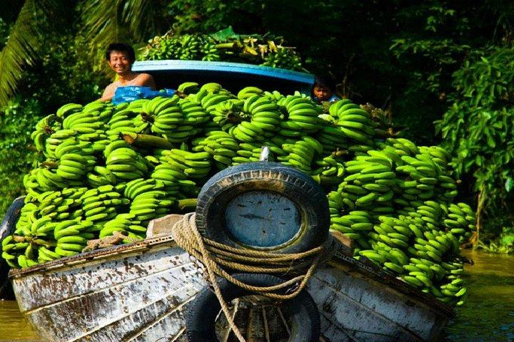 Mekong-Delta 1-Tages-Tour