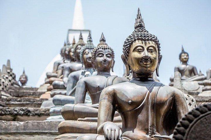 Negombo naar Colombo: Hamilton Canal Boottocht & Stadstour