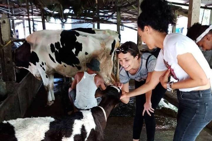 Ho Chi Minh City Full-Day Farm Trip med hälsosam matlagningsklass