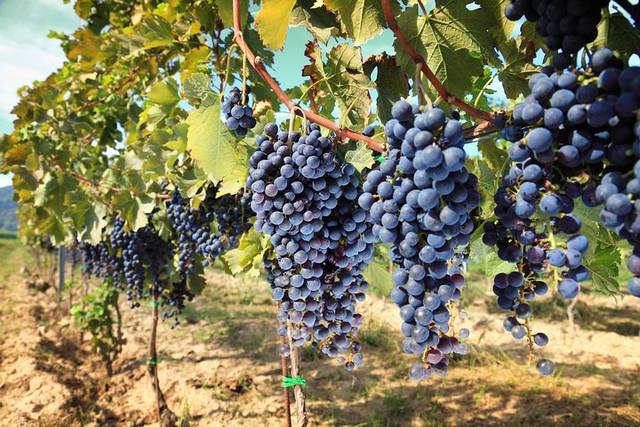 Val d’Orcia
