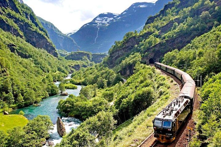 Excursion privée d'une journée complète d'Oslo à Sognefjord via Flåm Railway