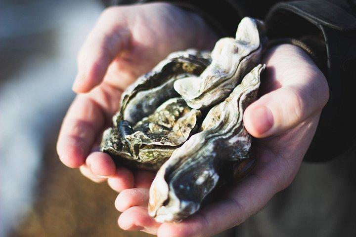 未発見のチャールストン:料理教室付き半日フード、ワイン、歴史ツアー