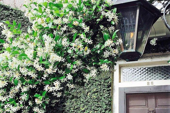 未発見のチャールストン:料理教室付き半日フード、ワイン、歴史ツアー